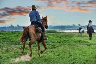 Curso gratuito de Básico em Equoterapia